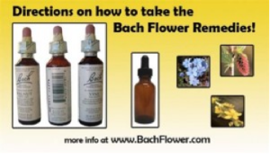 Bach Flower Remedies